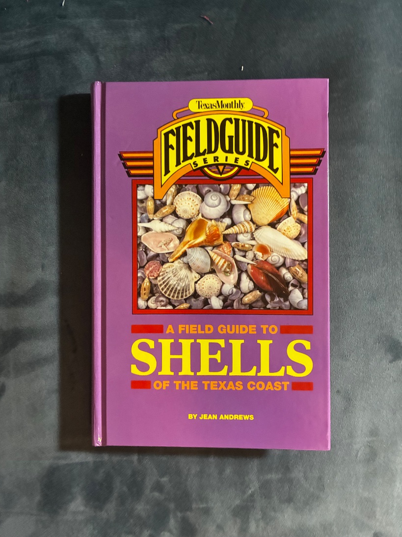 A Field Guide to Shells of the Texas Coast — photograph 1 of 7